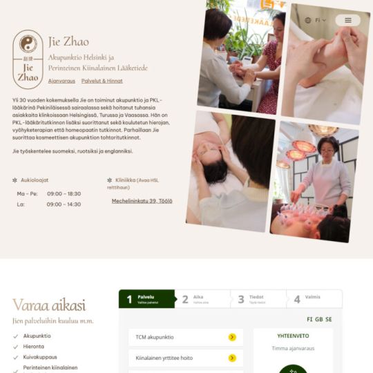 Perinteinen Kiinalainen Lääketiede Jie Zhao